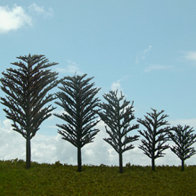 model trees